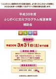 平成３０年度　ふじのくに文化プログラム推進事業補助金